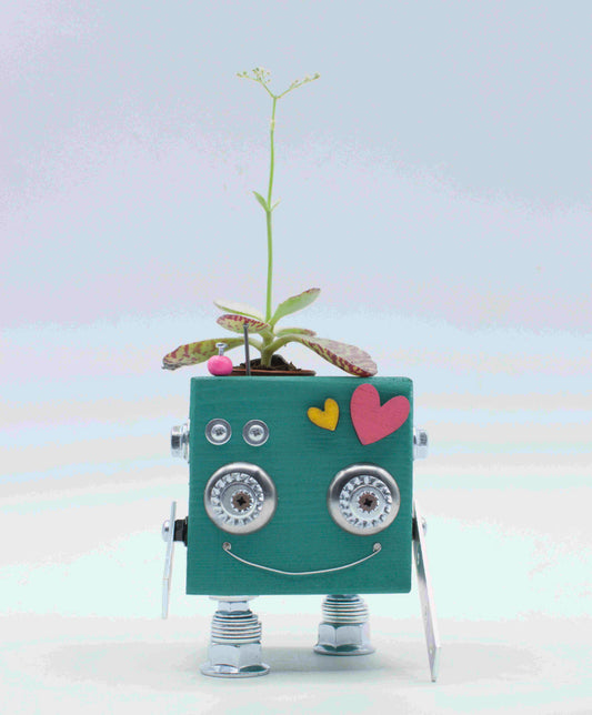 Robot-shaped vase. Handmade wooden plant holder.